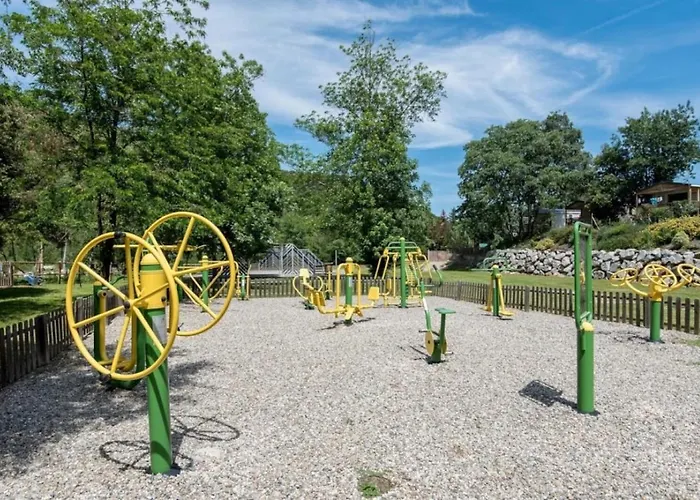 3 Etoiles - Piscine - Ccaaafi *